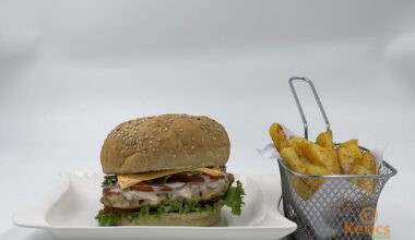 Chicken burger with fries