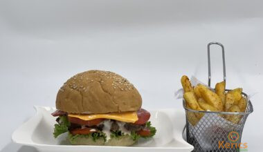 Beef burger with fries